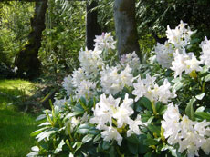 wyldflower B&B Qualicum Beach BC